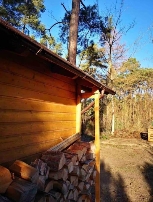 Haus Clemens - Gemuetliches Holzhaus Mit Grundstueck Βίλα Königs Wusterhausen Εξωτερικό φωτογραφία